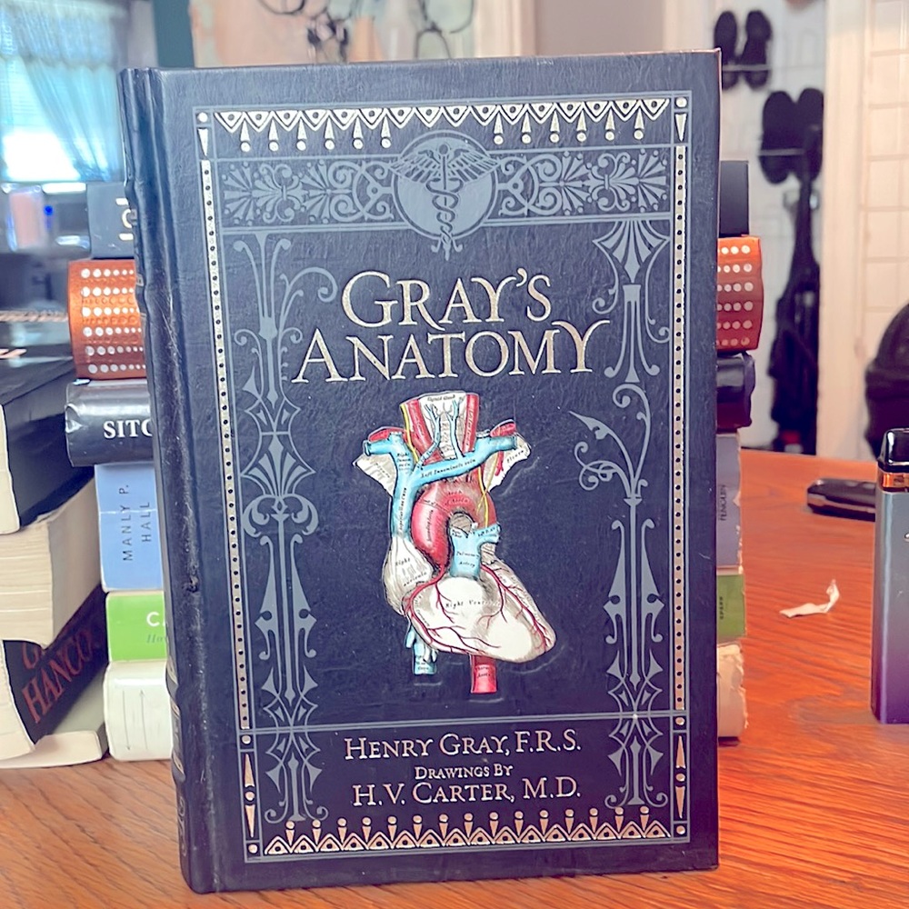 Grays Anatomy by Henry Gray
